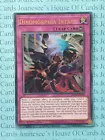 Dinomorphia Intact