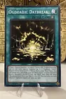 Card Guard