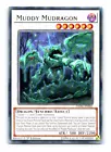 Muddy Mudragon