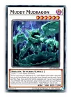 Aqua Dragon