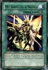 Mid Shield Gardna