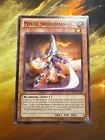 Mystic Swordsman LV2