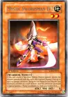 Mystic Swordsman LV2