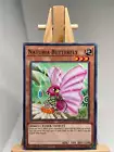 Naturia Butterfly