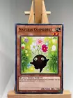 Naturia Cosmobeet