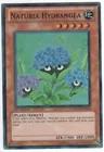 Naturia Hydrangea