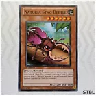 Naturia Stag Beetle