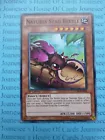 Naturia Stag Beetle