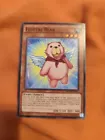 Fluffal Bear