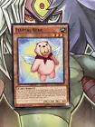 Fluffal Bear