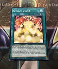 Nekroz Cycle
