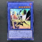 Cyberse Magician