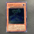 Earthbound Immortal Ccarayhua