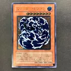 Water Dragon