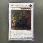 XX-Saber Hyunlei