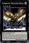 Bombardment Beetle