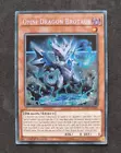 Omni Dragon Brotaur