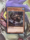 Nimble Beaver