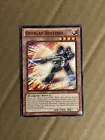 Overlay Sentinel