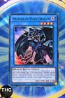 Paladin of Dark Dragon