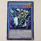 Paladin of White Dragon