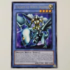 Paladin of White Dragon