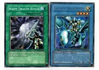 Paladin of White Dragon