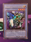 Paladin of Dark Dragon
