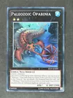 Paleozoic Opabinia
