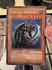 Panther Warrior