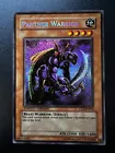 Panther Warrior