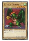 Parrot Dragon