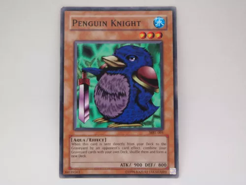 Dragon Master Knight