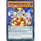Performapal Partnaga
