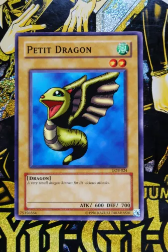 Petit Dragon