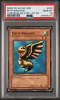 Petit Dragon