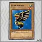 Petit Dragon