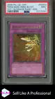 Phoenix Wing Wind Blast