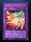 Phoenix Wing Wind Blast