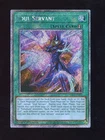 Soul Servant