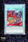 Polymerization