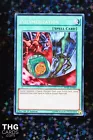 Polymerization