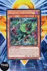 Predaplant Chlamydosundew