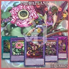 Plant Food Chain