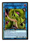 Predaplant Verte Anaconda