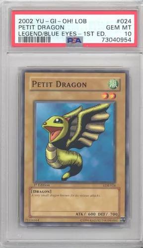 Petit Dragon
