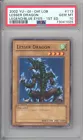 Lesser Dragon