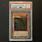 Gladiator Beast Alexander