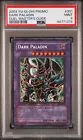 Dark Paladin