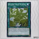 Raging Mad Plants